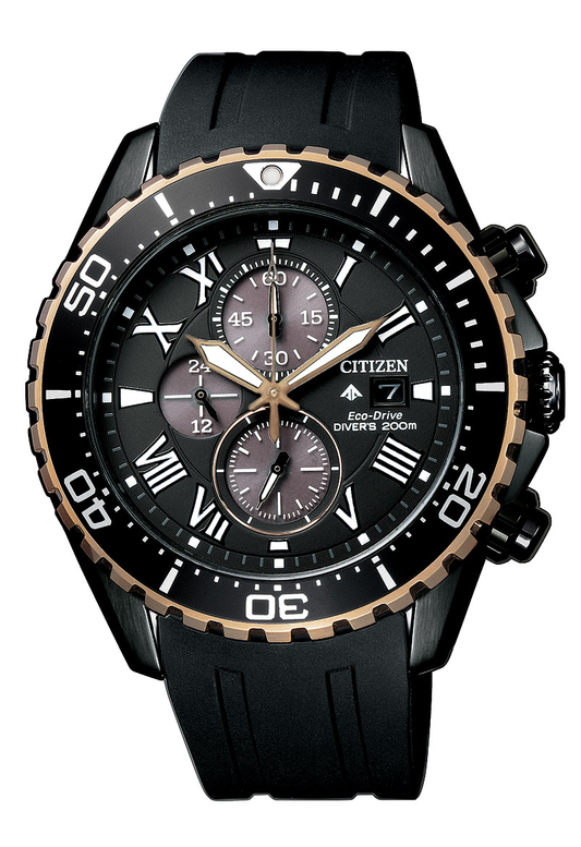 CA0716-19E Citizen Watch