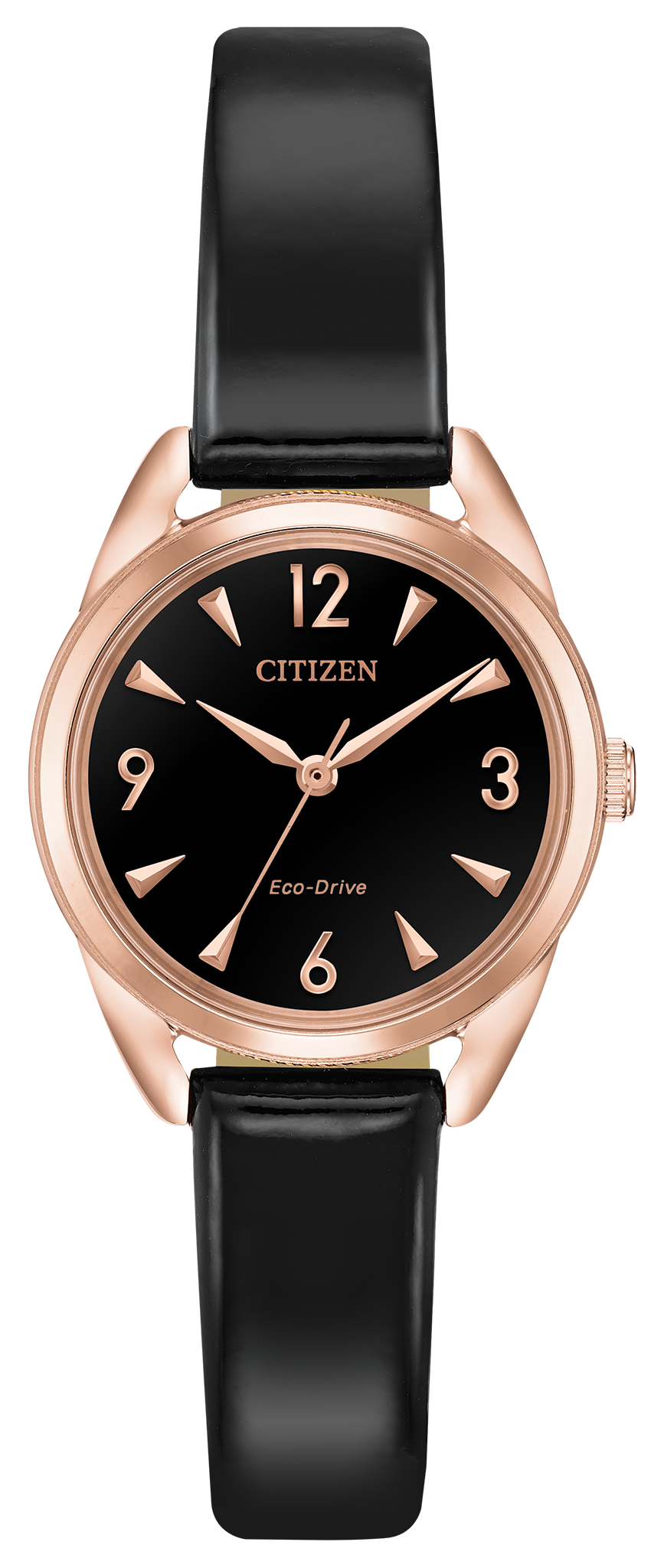 EM0688-01E Citizen Watch