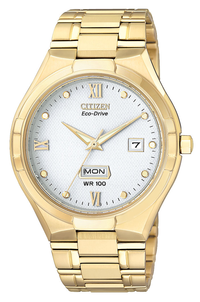 BM5022-51A Citizen Watch