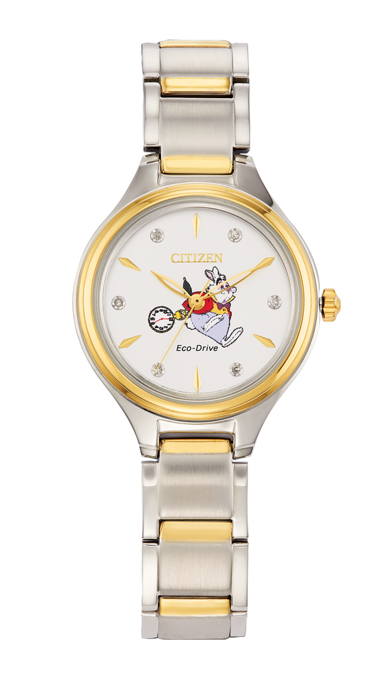FE2104-50ADIS Citizen Watch