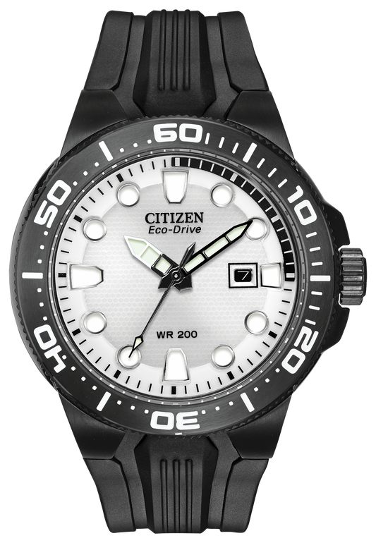 BN0095-08A Citizen Watch