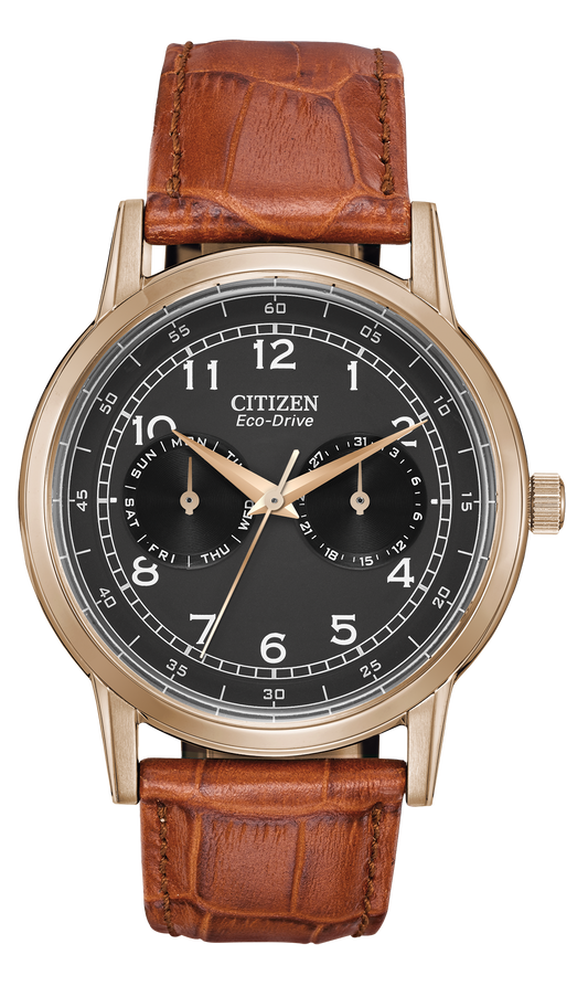 AO9003-08E Citizen Watch