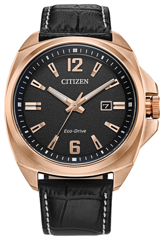 AW1723-02E Citizen Watch