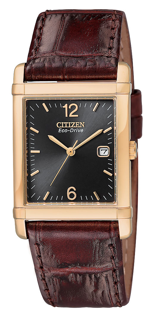 BW0203-01E Citizen Watch