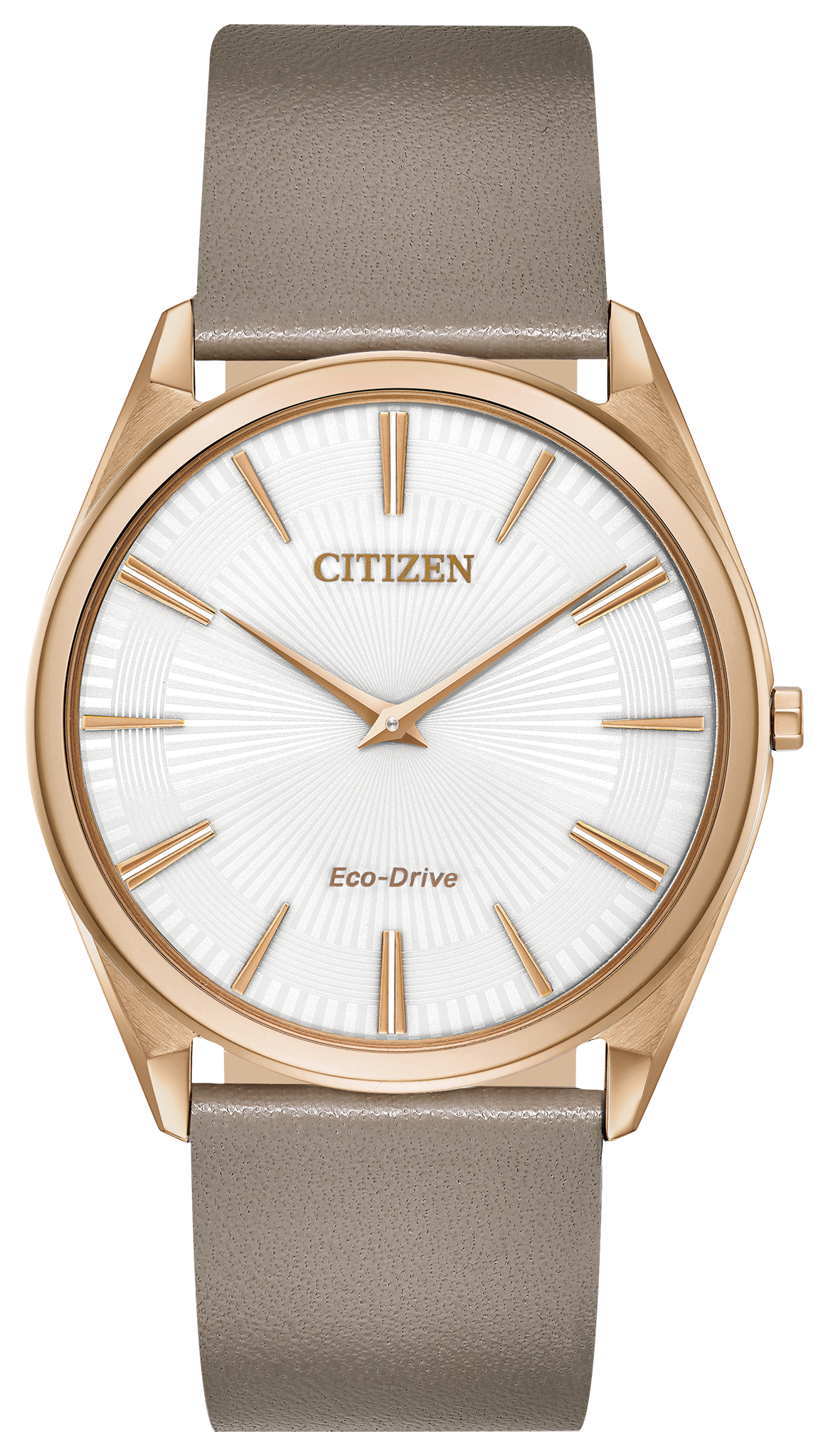 AR3076-08A Citizen Watch