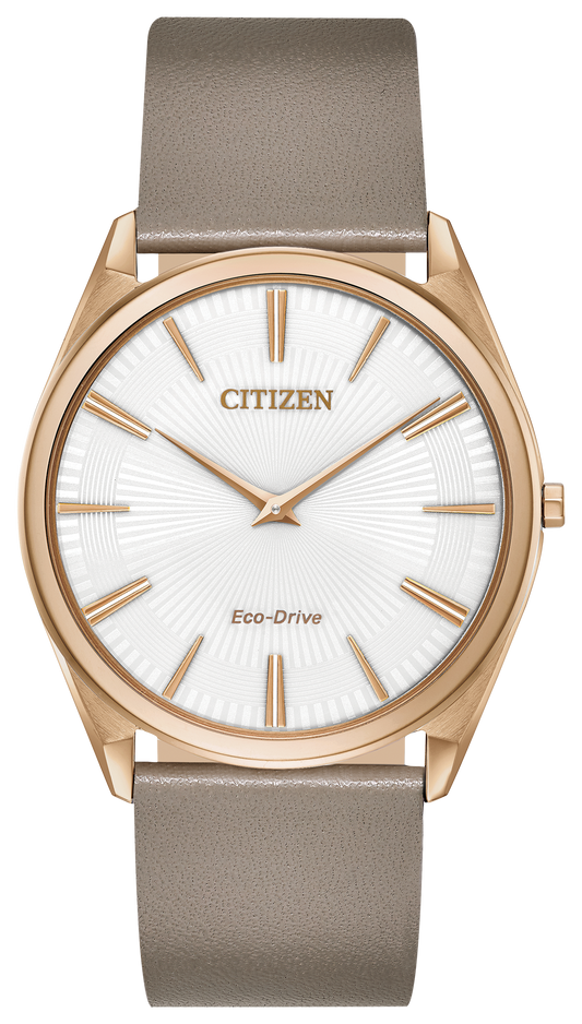 AR3076-08A Citizen Watch