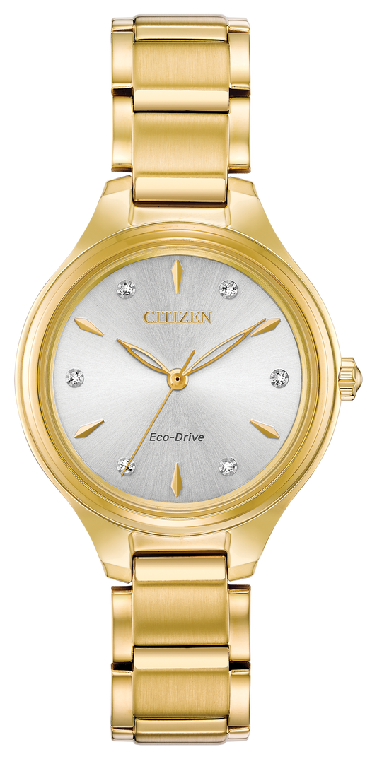 FE2102-55A Citizen Watch
