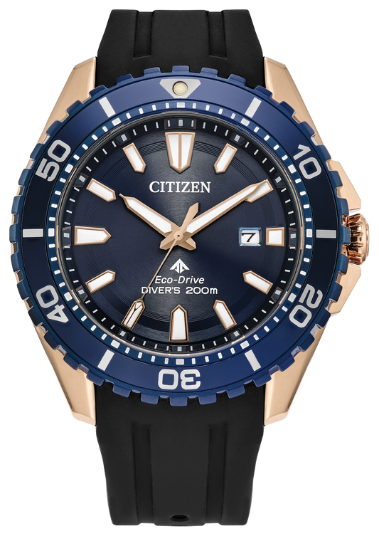 BN0196-01L Citizen Watch