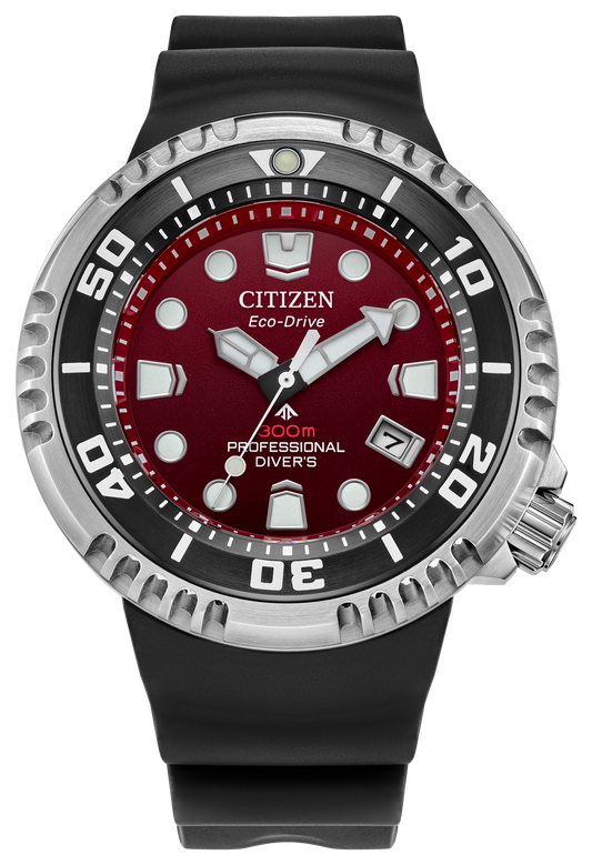 BN1024-01Z Citizen Watch