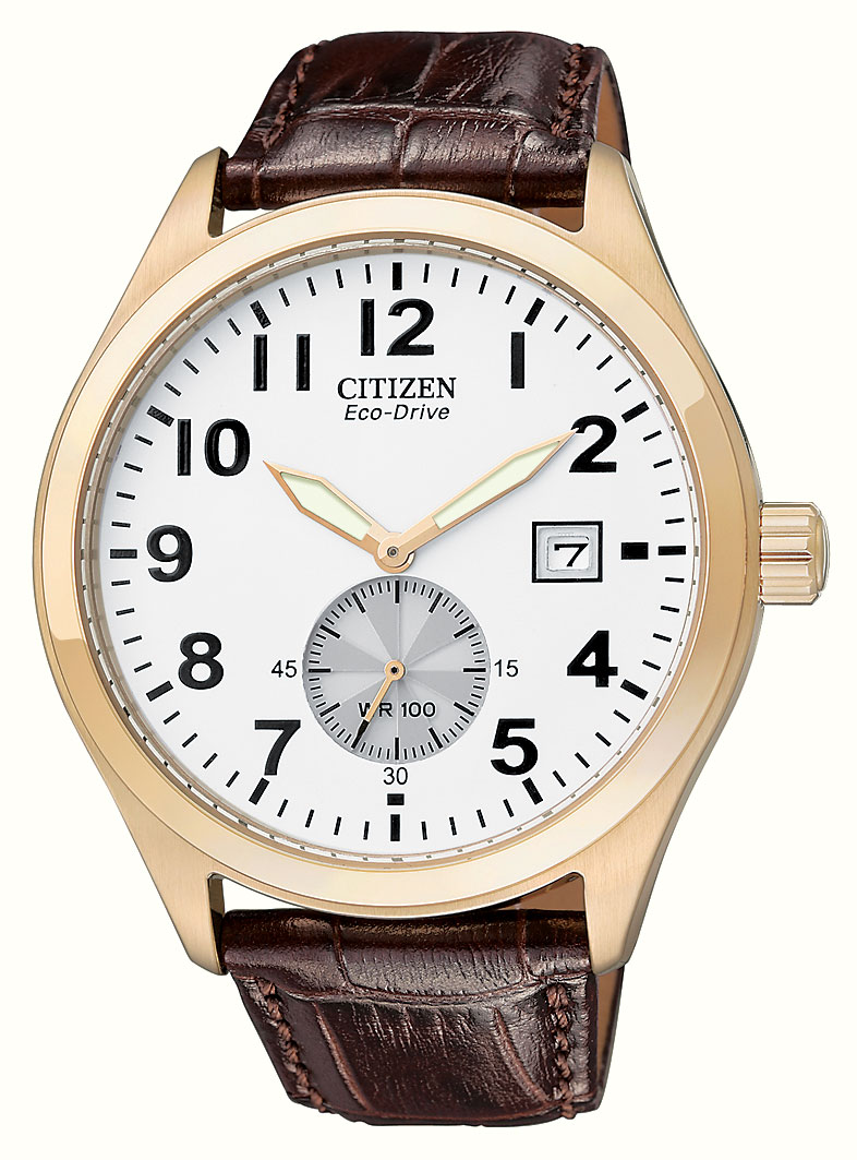 BV1063-09A Citizen Watch