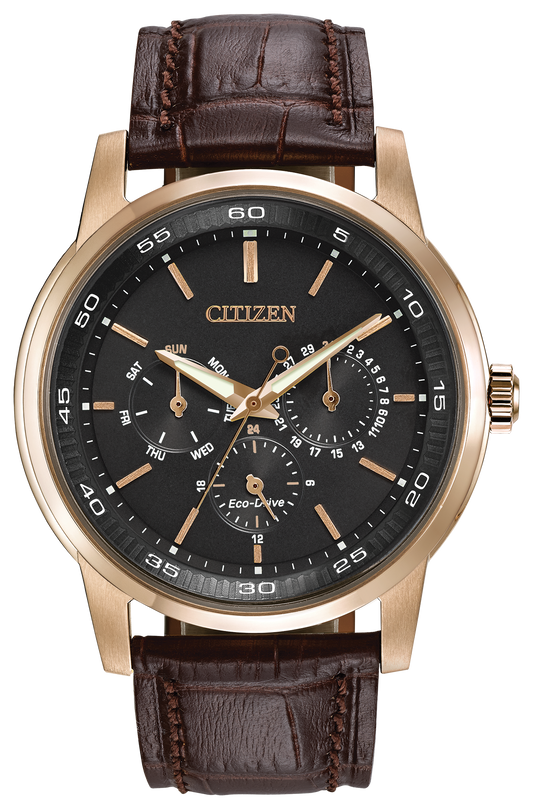 BU2013-08E Citizen Watch