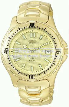 AP0382-51P Citizen Watch