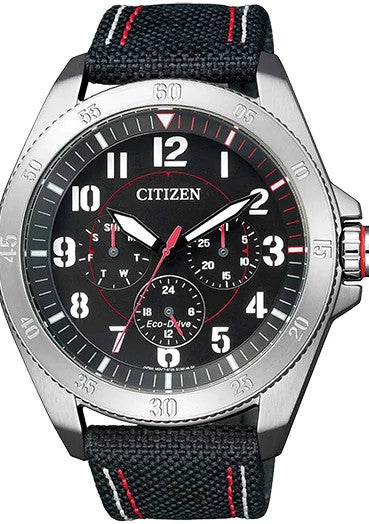 BU2030-17E Citizen Watch