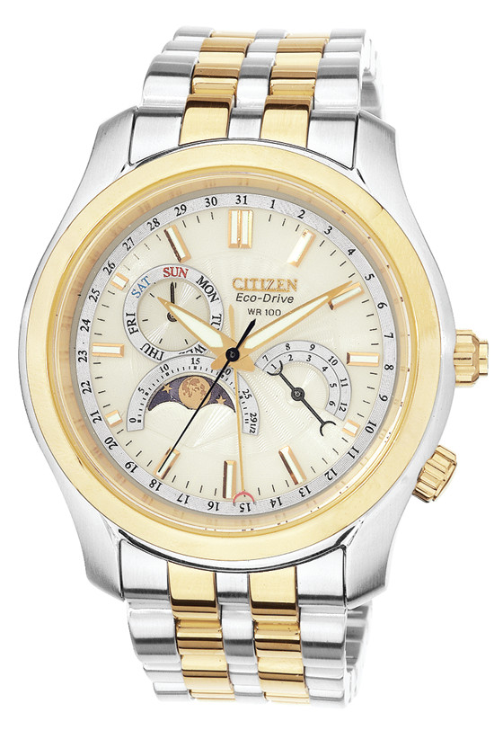AP1024-56P Citizen Watch