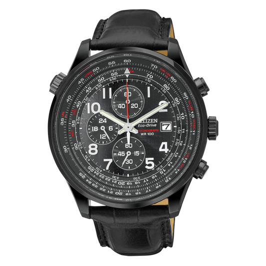 CA0395-02E Citizen Watch