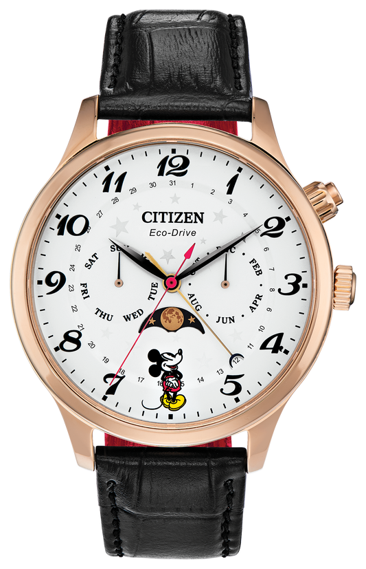 AP1053-15W Citizen Watch