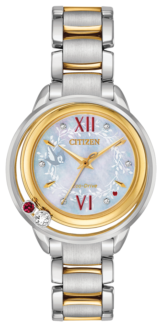 EW5564-54D Citizen Watch