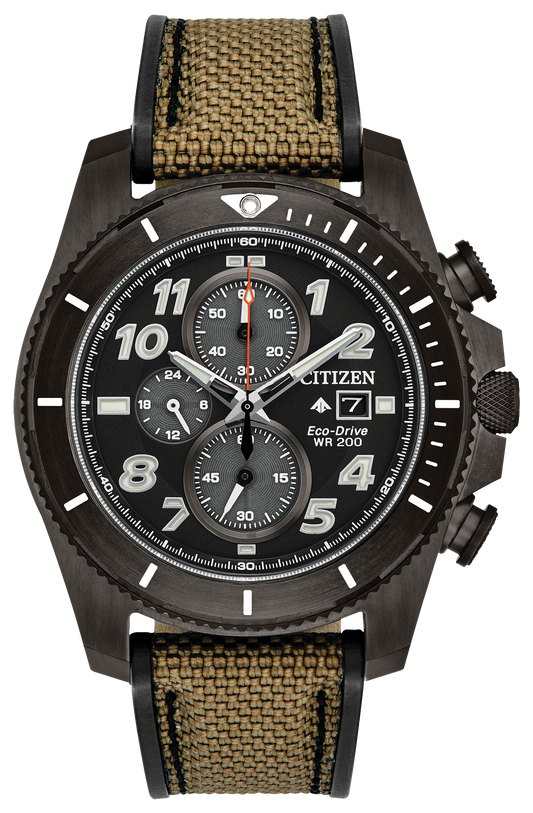 CA0727-04E Citizen Watch