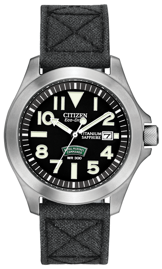 BN0110-06E Citizen Watch