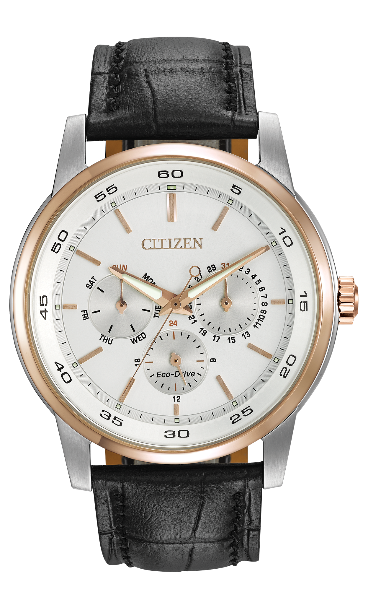 BU2016-00A Citizen Watch