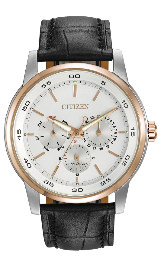 BU2016-00A Citizen Watch